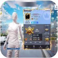 和平精英，账号出售，11w热力值，1红装10粉装，13特效枪，8载具，4级图卡盟，紫螳螂，女娲，新101，蝶舞，幻影战神